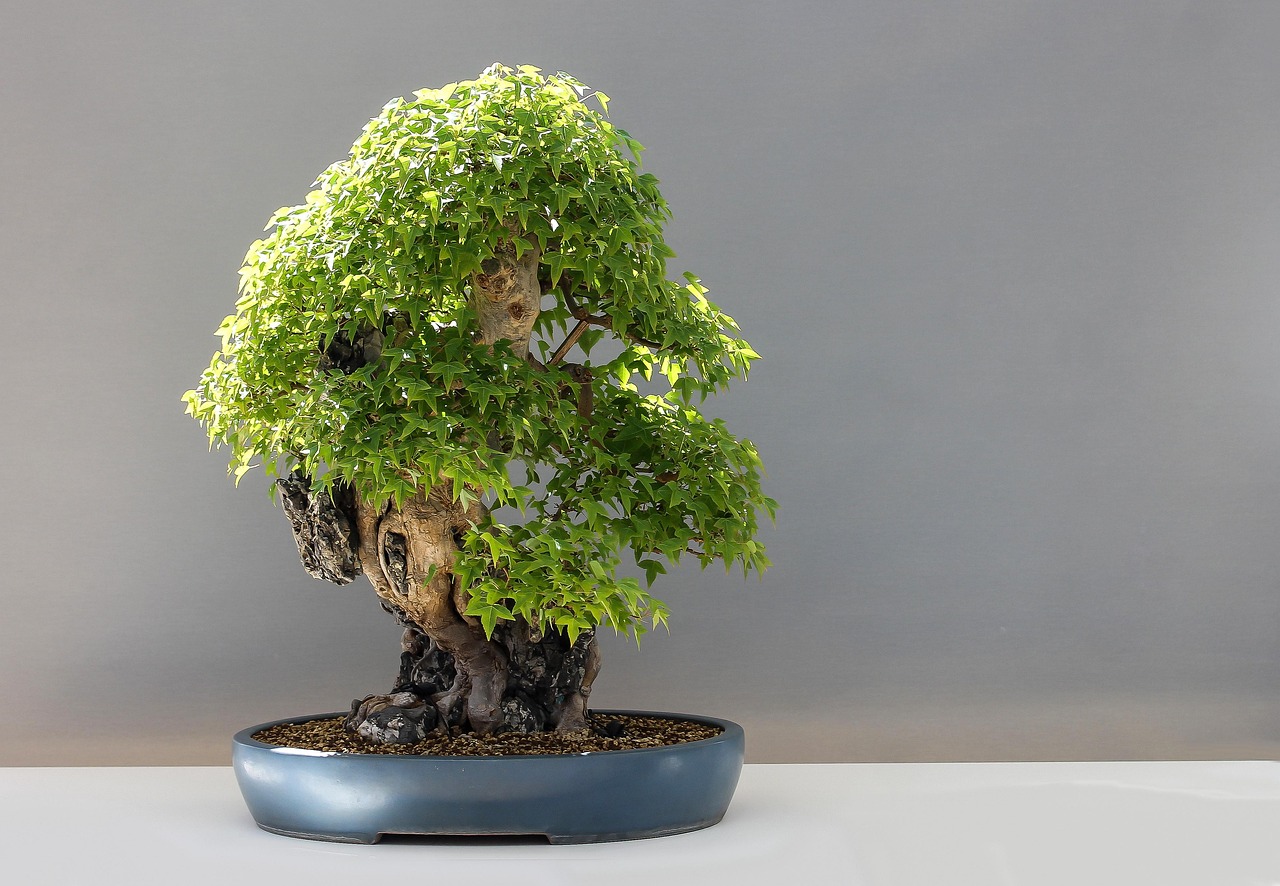The Beauty of Imperfection in Japanese Art, Bonsai, and Beadwork