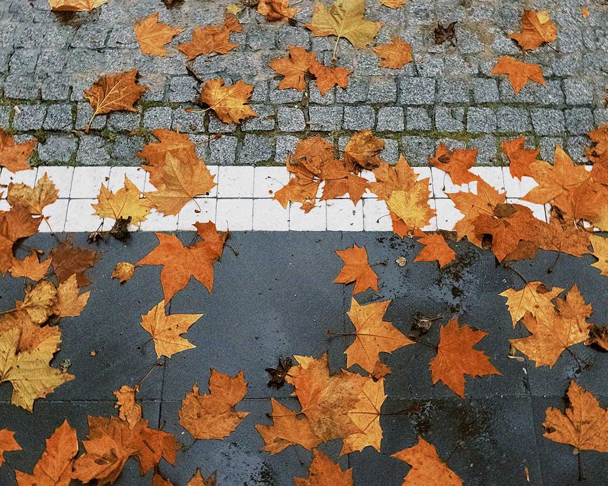 Fallen Leaves, Nature’s Patterns, and the Art of Beadwork